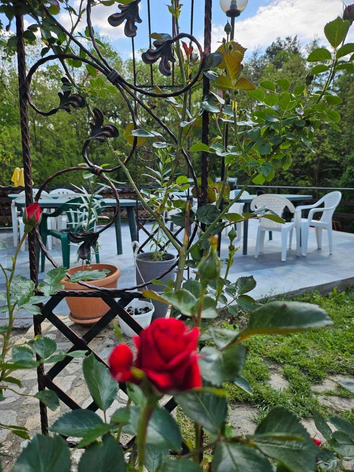 Orehite-Family Hotel ,Food & Pool Bozhichen Exterior foto